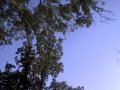 WP_20160806_18_10_09_Pro.jpg